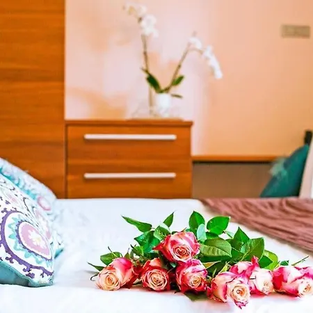 Aina Boutique Lasko
