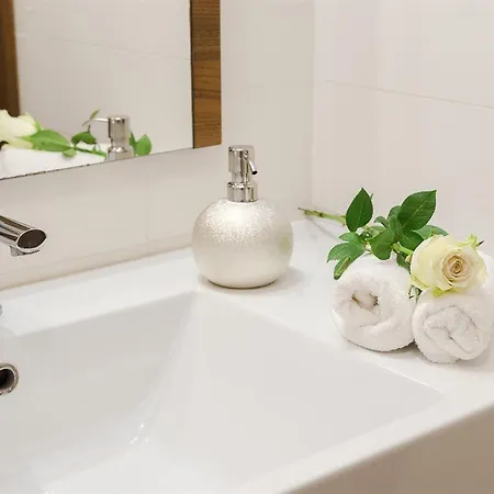 Aina Boutique Hotel Laško