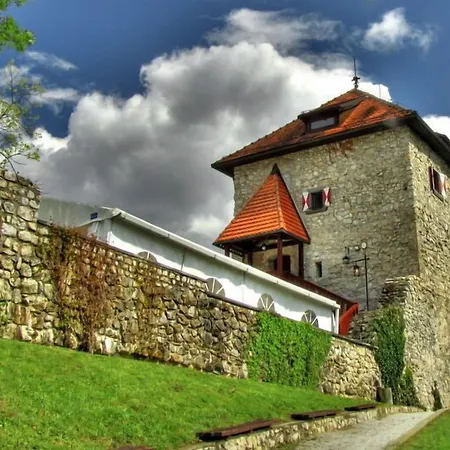 Aina Boutique Hotel Laško