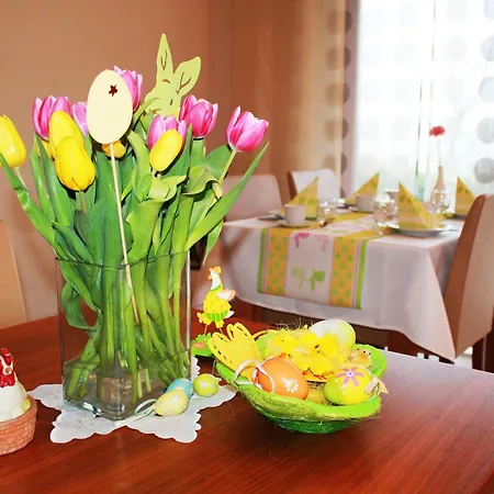 Hotel Aina Boutique Lasko