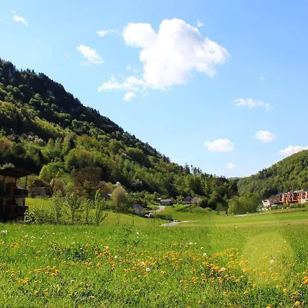 Aina Boutique Lasko
