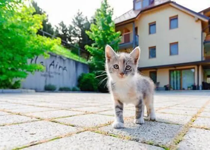 Отель Aina Boutique