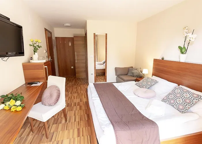 Hotel Aina Boutique Laško