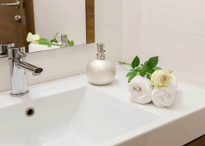 Aina Boutique Hotel Laško