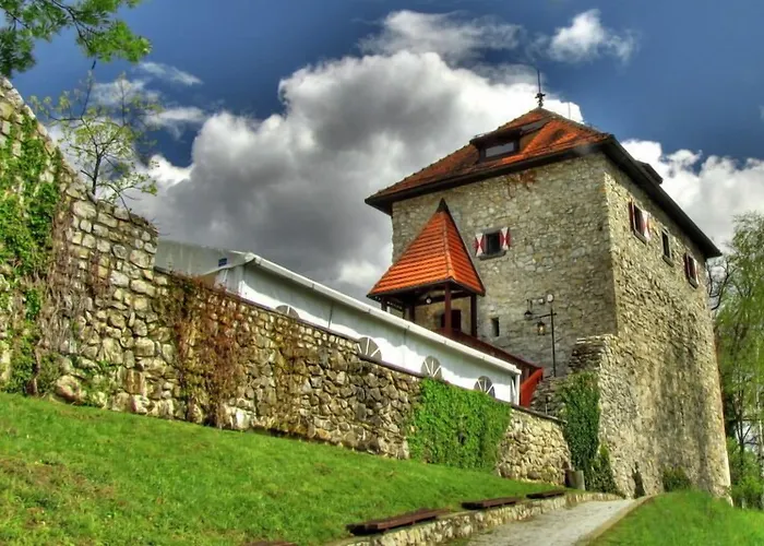 Aina Boutique Hotel Laško